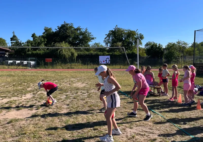 Zvířecí olympiáda 2026