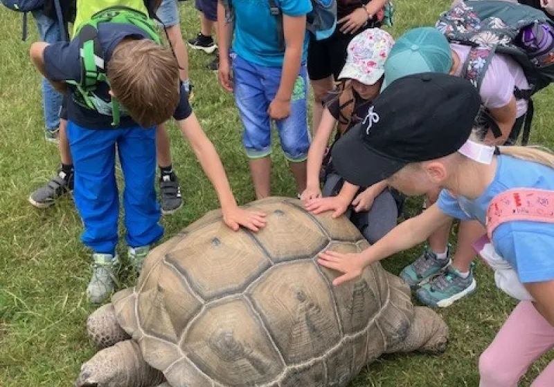 Návštěva Zooparku Zelčín – 3. ročník 3