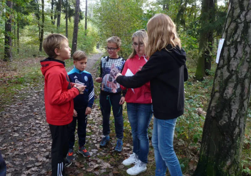 Základní škola Loučeň 11